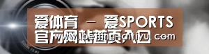 公司动态