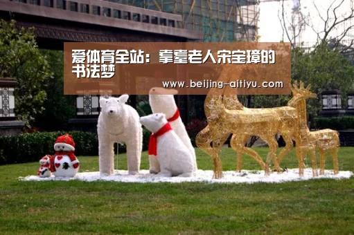 爱体育全站:耄耋老人宋宝璋的书法梦(图1) 爱体育全站