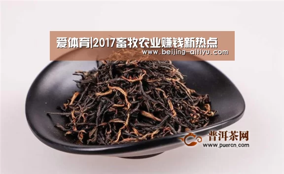 爱体育|2017畜牧农业赚钱新热点(图1) 爱体育全站